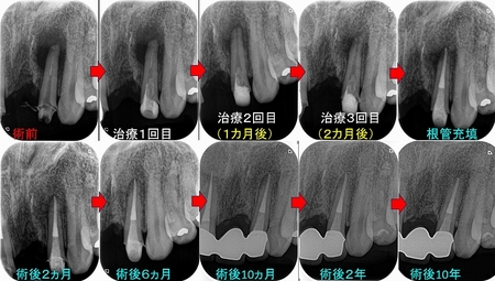 2026 EEdental TOM (1).jpg