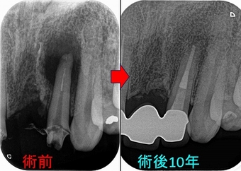 2026 EEdental TOM (2).jpg