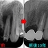 2026 EEdental TOM (2).jpg