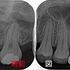 2026 EEdental TUE (1).jpg