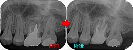 2026 EEdental TUE (2).jpg