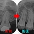 2026 EEdental TUE (2).jpg