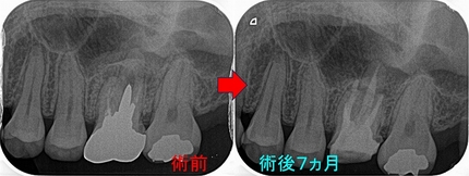 2026 EEdental TUE (3).jpg