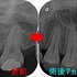 2026 EEdental TUE (3).jpg