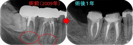2026 EEdental WAH (1).jpg