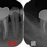 2026 EEdental WAH (2).jpg
