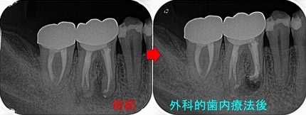 2026 EEdental WAH (3).jpg