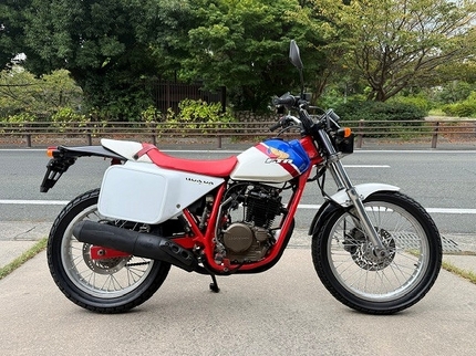 2026 EEdental FTR250 (1).jpg