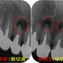 2026 EEdental HHI (1).jpg