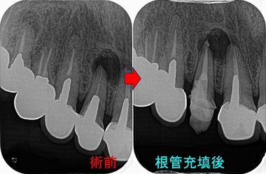 2026 EEdental HHI (2).jpg