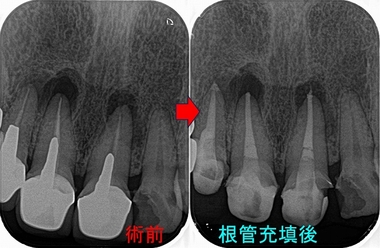 2026 EEdental HHI (3).jpg