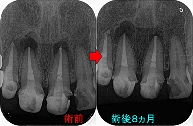 2026 EEdental HHI (4).jpg