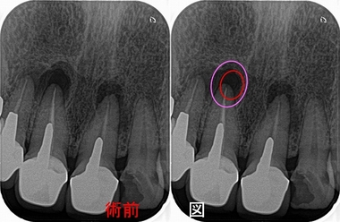 2026 EEdental HHI (8).jpg