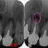 2026 EEdental HHI (8).jpg