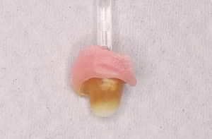 2026 EEdental KOM (4).jpg