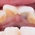 2026 EEdental KOM (8).jpg