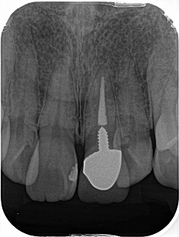 2026 EEdental KOM (9).jpg