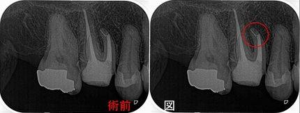 2026 EEdental KON (1).jpg