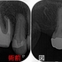 2026 EEdental KON (1).jpg