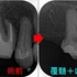 2026 EEdental KON (2).jpg