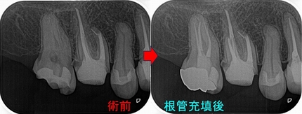 2026 EEdental KON (3).jpg