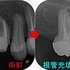 2026 EEdental KON (3).jpg