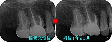 2026 EEdental KON (4).jpg