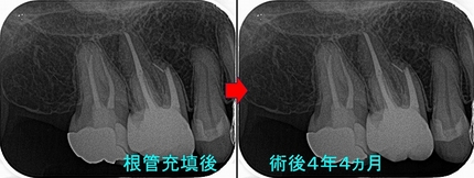 2026 EEdental KON (5).jpg