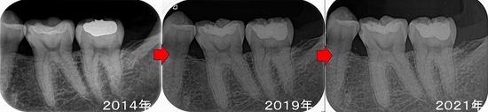 2026 EEdental SIN (1).jpg