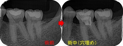 2026 EEdental SIN (3).jpg
