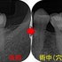 2026 EEdental SIN (3).jpg