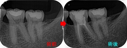 2026 EEdental SIN (4).jpg
