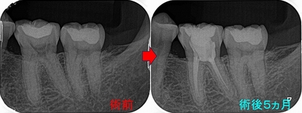 2026 EEdental SIN (5).jpg