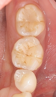 2026 EEdental SIN (6).jpg