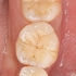 2026 EEdental SIN (6).jpg