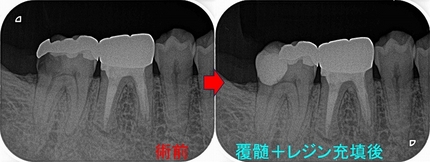 2026 EEdental TAA (2).jpg