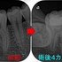 2026 EEdental TEZ (2).jpg