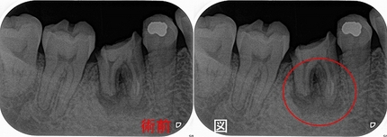 2026 EEdental YOK (1).jpg