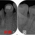 2026 EEdental YOK (1).jpg