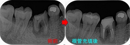 2026 EEdental YOK (2).jpg