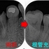 2026 EEdental YOK (2).jpg
