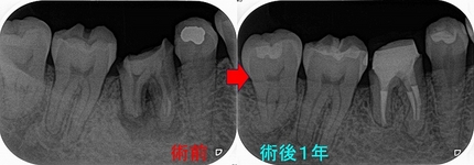 2026 EEdental YOK (3).jpg