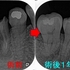 2026 EEdental YOK (3).jpg