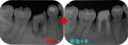 2026 EEdental YOK (4).jpg