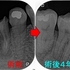 2026 EEdental YOK (4).jpg