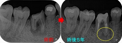 2026 EEdental YOK (5).jpg