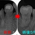 2026 EEdental YOK (5).jpg