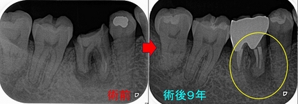 2026 EEdental YOK (6).jpg