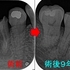 2026 EEdental YOK (6).jpg