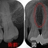 2026EEdental TKA (1).jpg